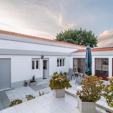 Beethoven Appartement Ponta Delgada